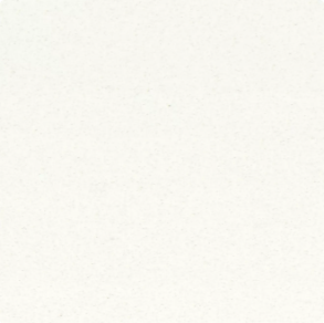 Polar White - quartz countertop